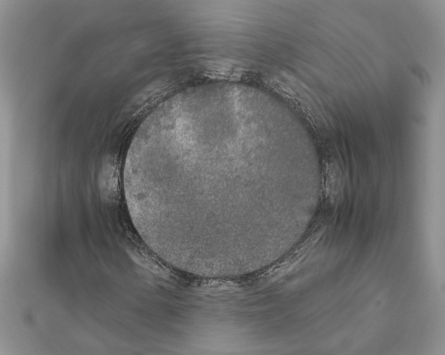 X0000111631154200908281128