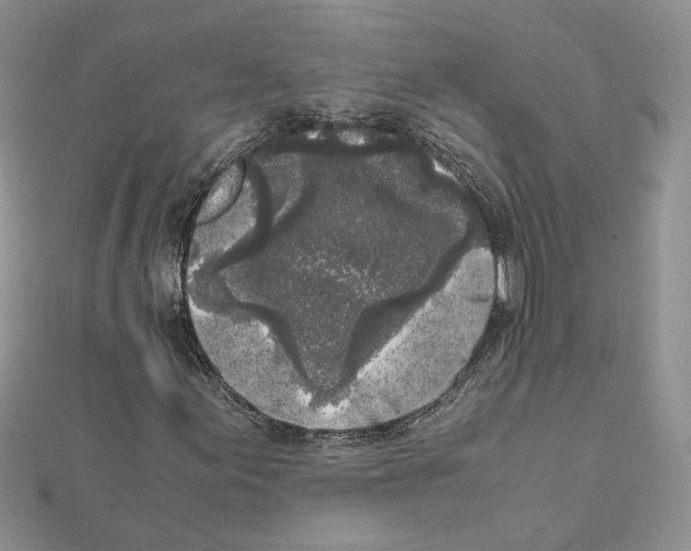 X0000111631155200908281128