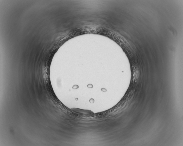 X0000111631156200908281128