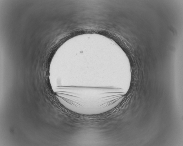 X0000111631157200908281128