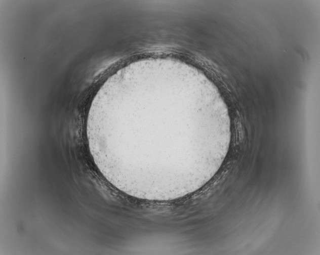 X0000111631158200908281128