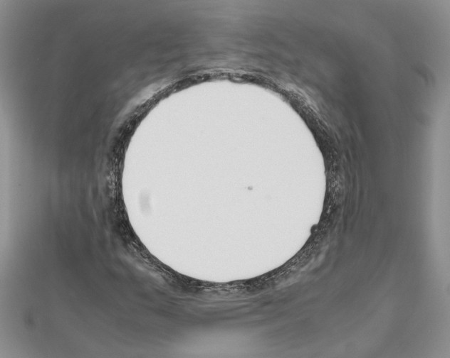 X0000111631159200908281128