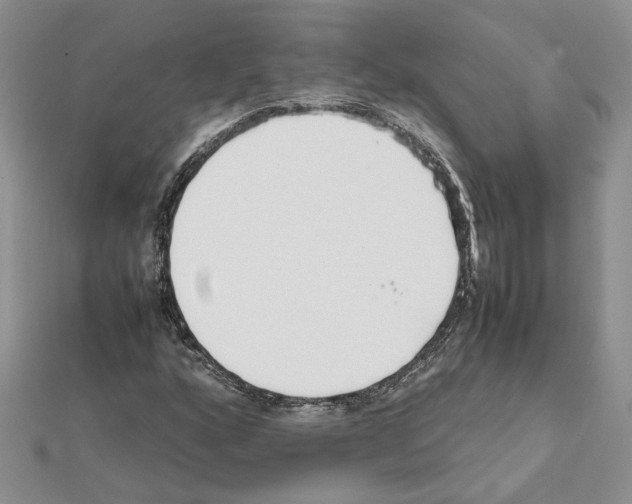 X0000111631160200908281128