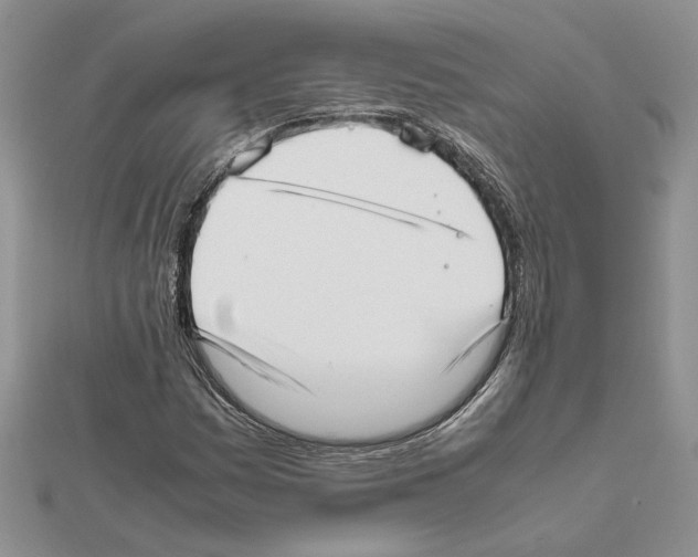 X0000111631161200908281128