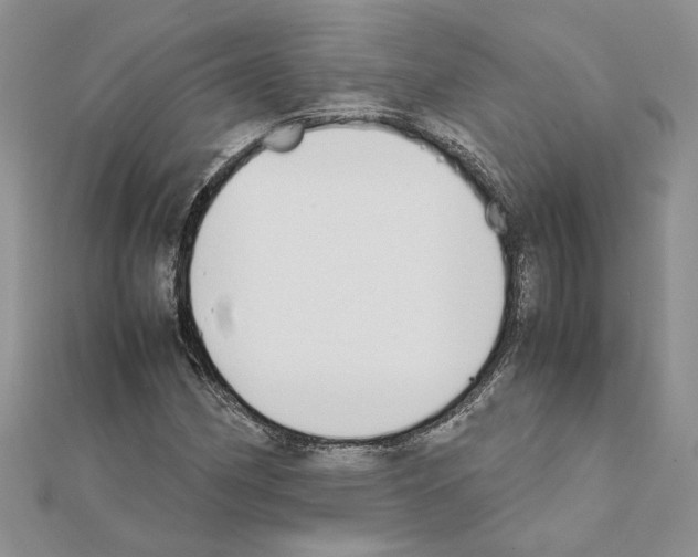 X0000111631162200908281128