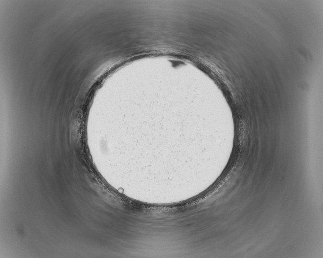 X0000111631163200908281128