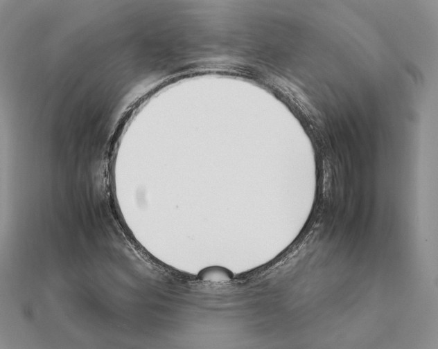 X0000111631164200908281128
