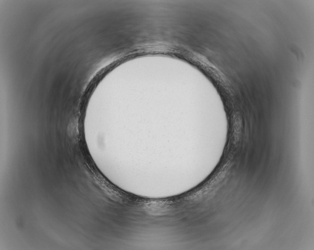 X0000111631166200908281128