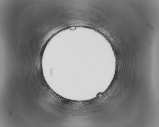 X0000111631167200908281128