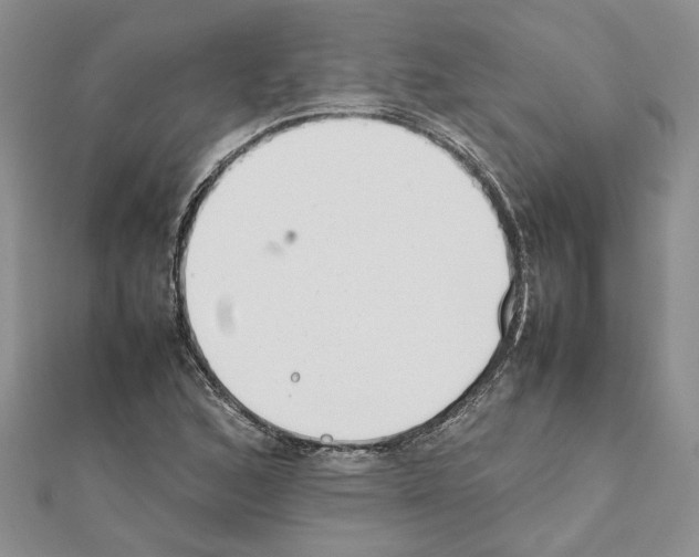 X0000111631168200908281128