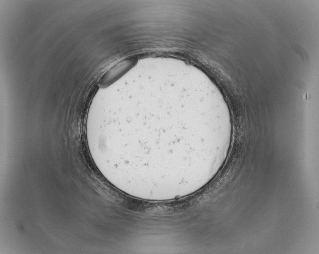 X0000111631169200908281128