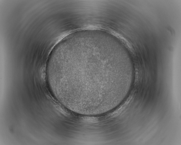 X0000111631170200908281128