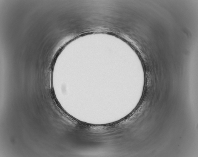 X0000111631171200908281128