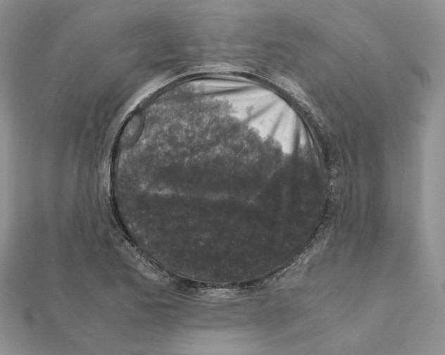X0000111631173200908281128