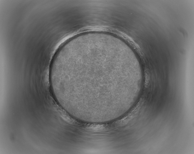 X0000111631174200908281128