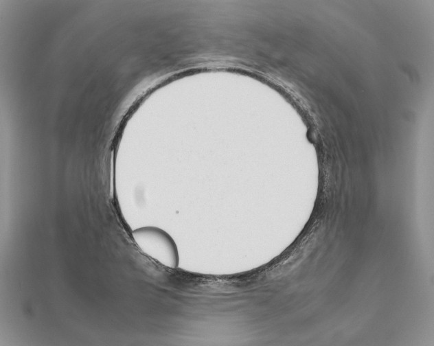 X0000111631175200908281128