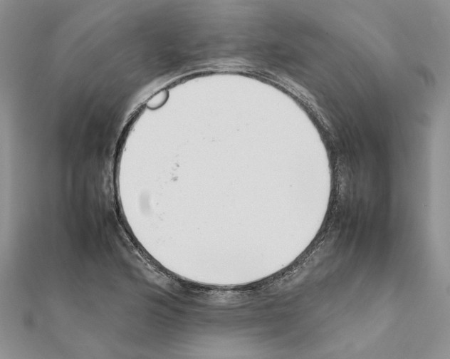 X0000111631176200908281128