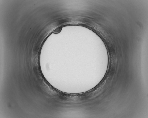 X0000111631177200908281128