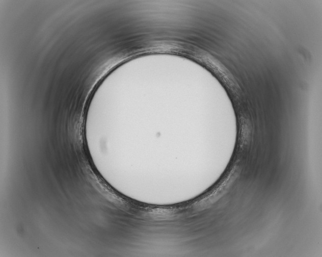 X0000111631178200908281128