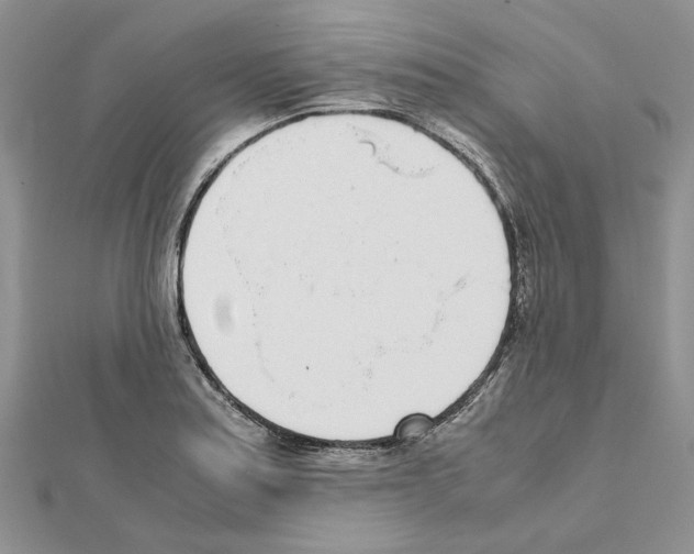 X0000111631179200908281128