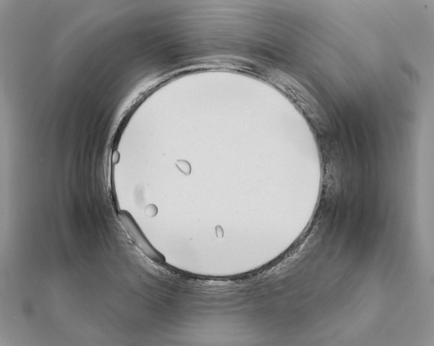X0000111631180200908281128