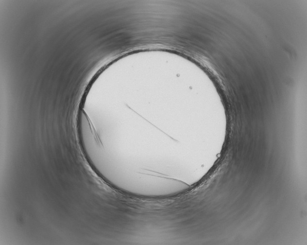 X0000111631181200908281128
