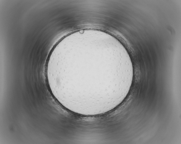 X0000111631182200908281128