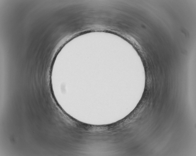 X0000111631183200908281128