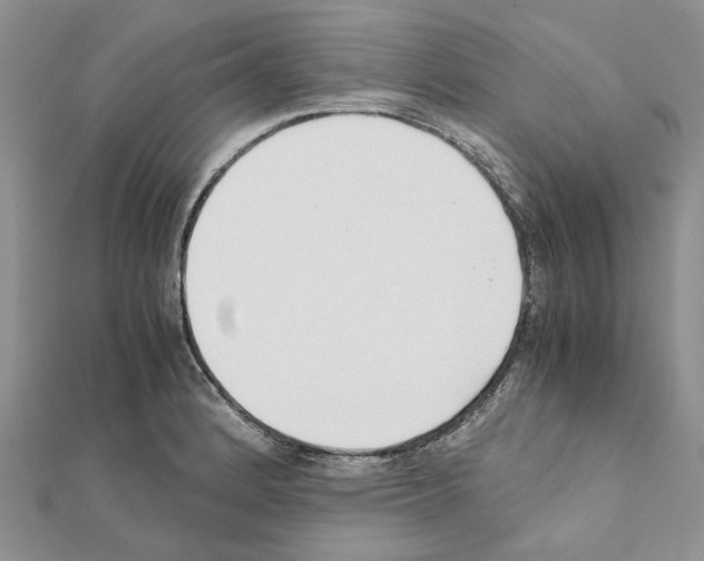 X0000111631184200908281128