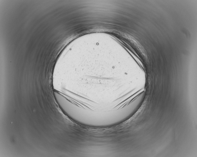 X0000111631185200908281128
