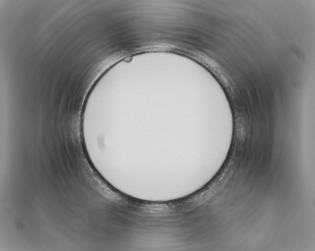 X0000111631186200908281128