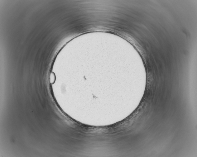 X0000111631187200908281128