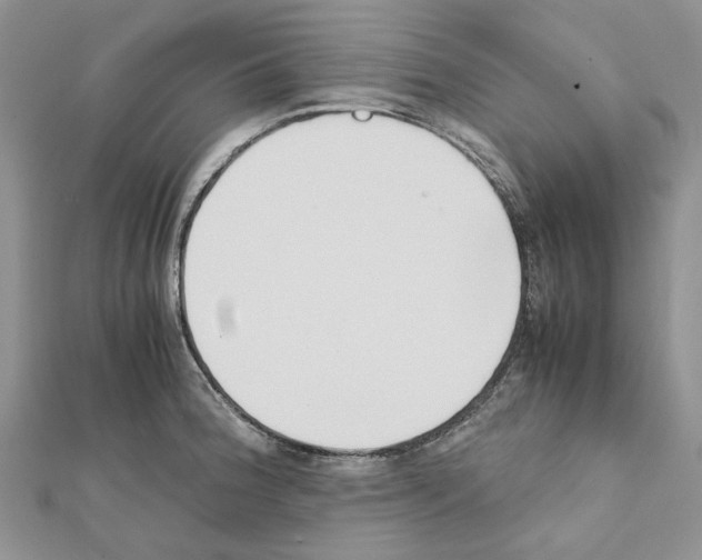 X0000111631188200908281128