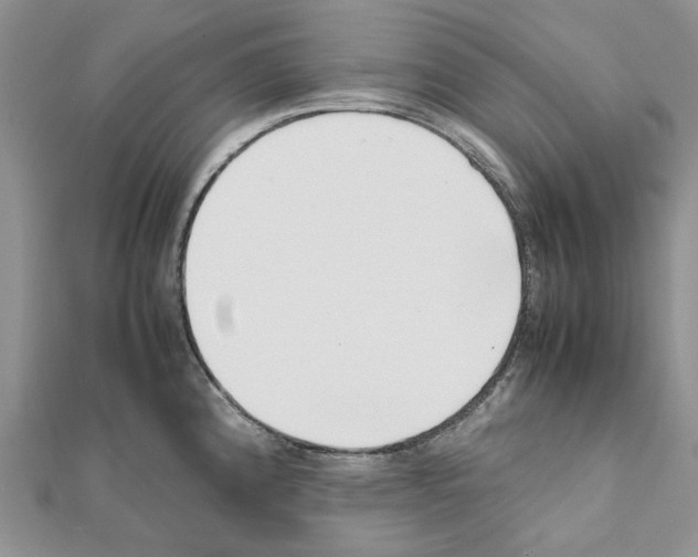 X0000111631192200908281128