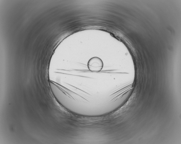 X0000111631193200908281128