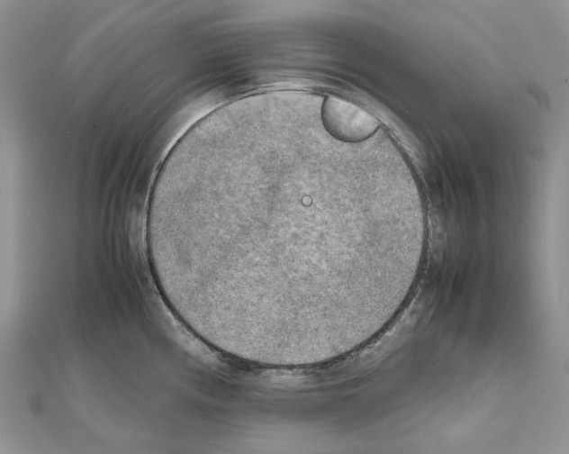 X0000111631194200908281128