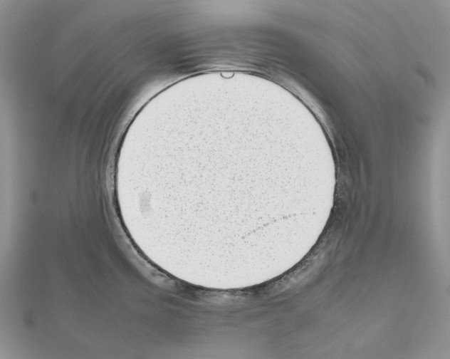 X0000111631195200908281128