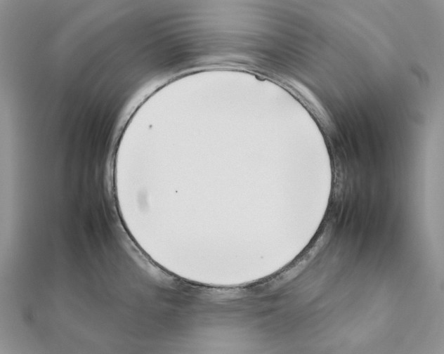X0000111631196200908281128