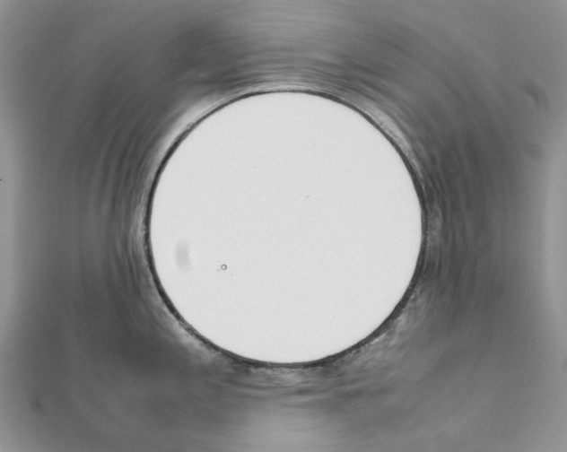 X0000111631197200908281128