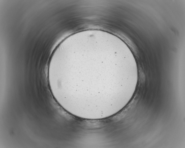 X0000111631198200908281127