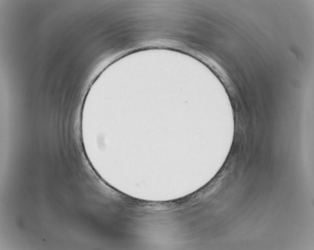X0000111631199200908281127