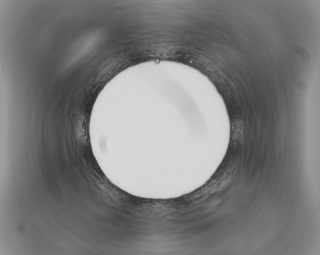 X0000111631202200908281127