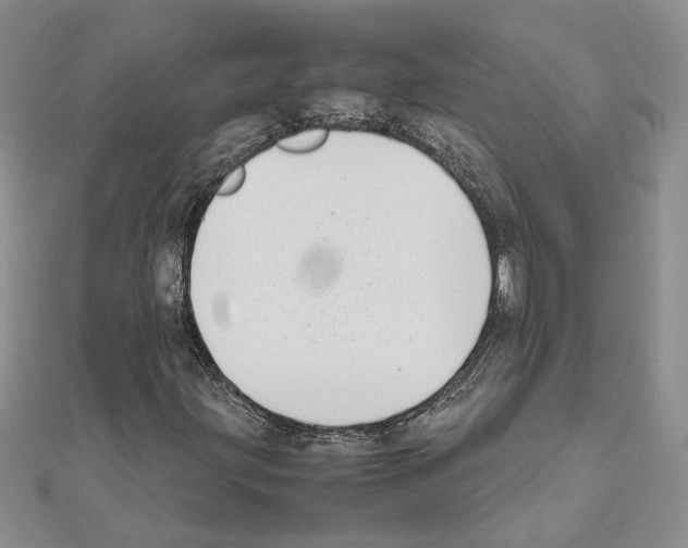 X0000111631203200908281127
