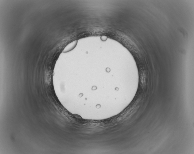 X0000111631204200908281127