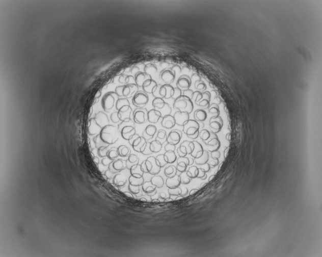 X0000111631205200908281127