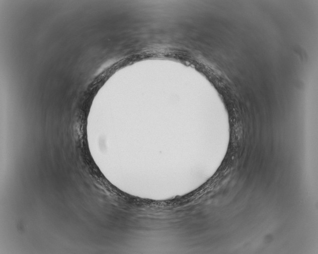 X0000111631206200908281127