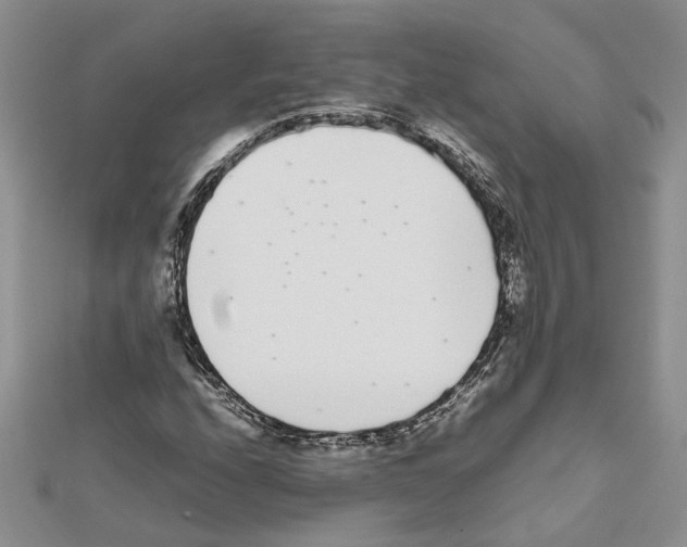 X0000111631208200908281127