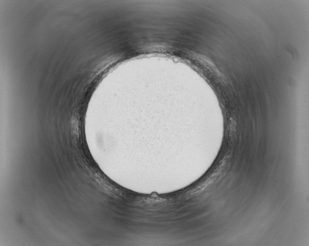 X0000111631209200908281127