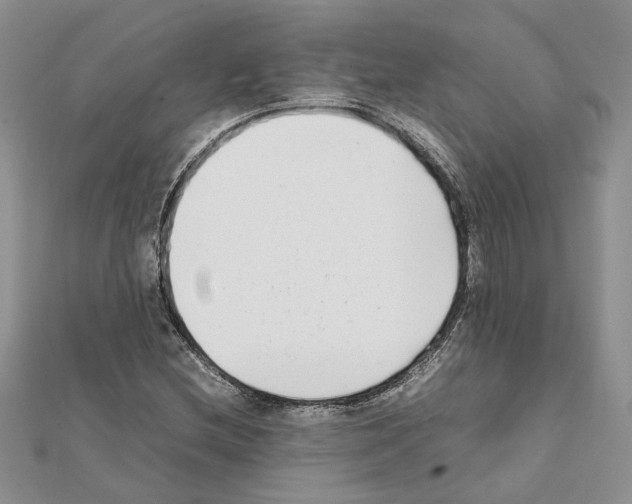 X0000111631212200908281127