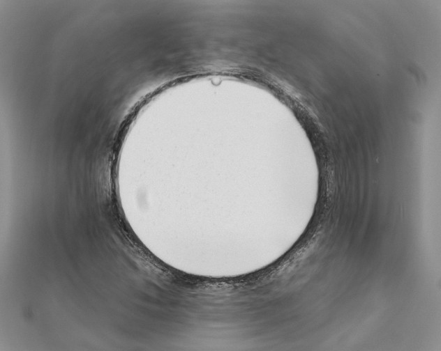 X0000111631214200908281127